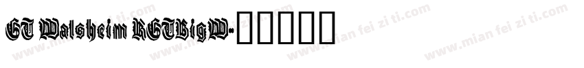 GT Walsheim RGTBigW字体转换